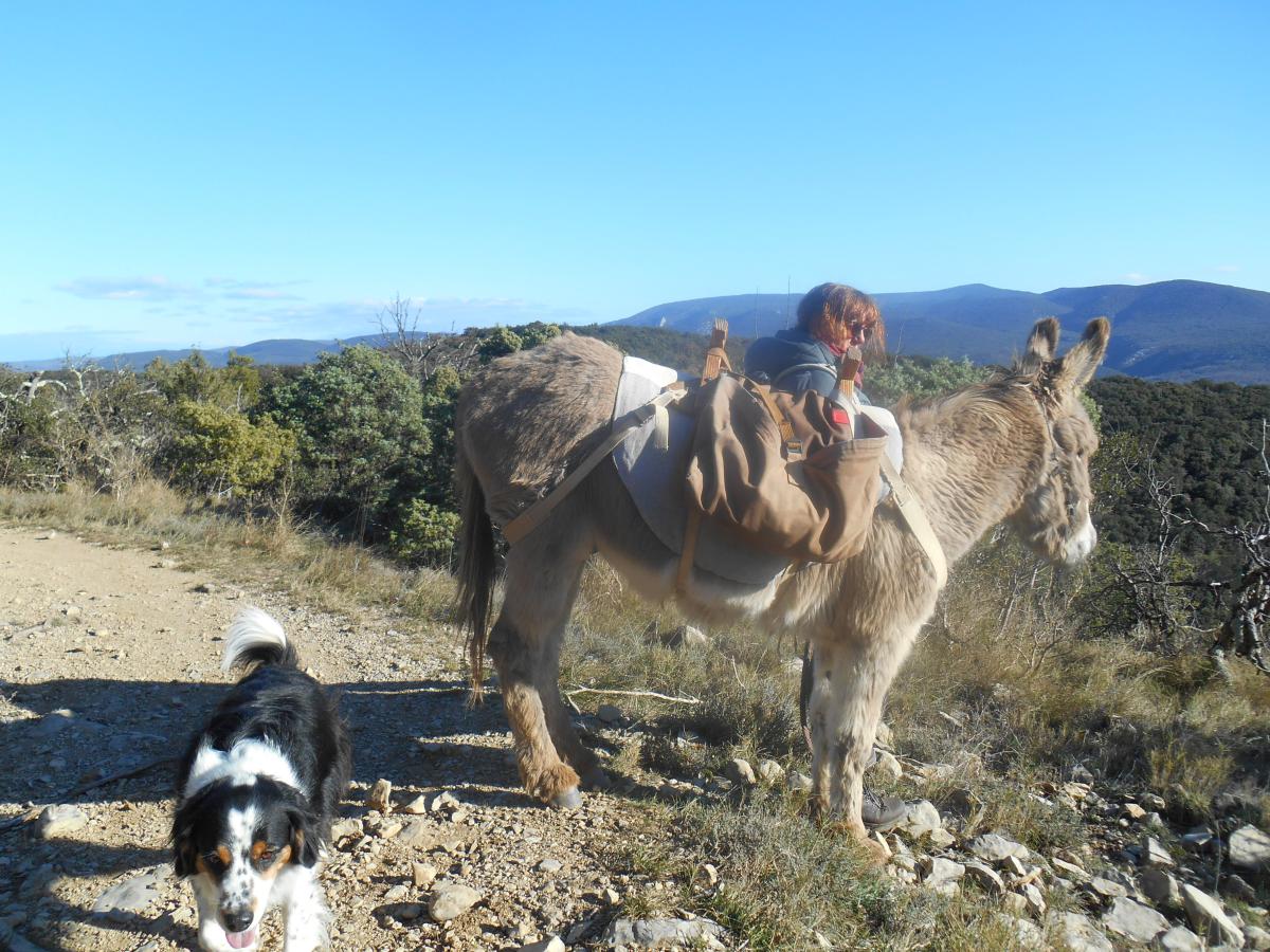 donkey trek france